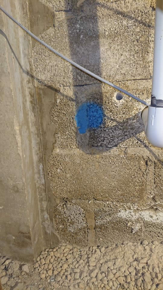 Concrete Pool Belnem 005